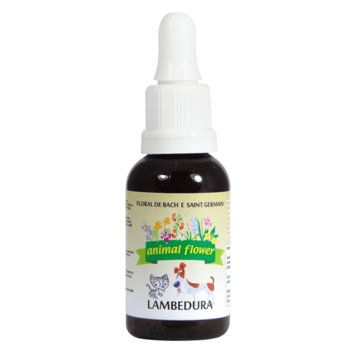 Floral Lambedura 30ml gotas- Animal Flower